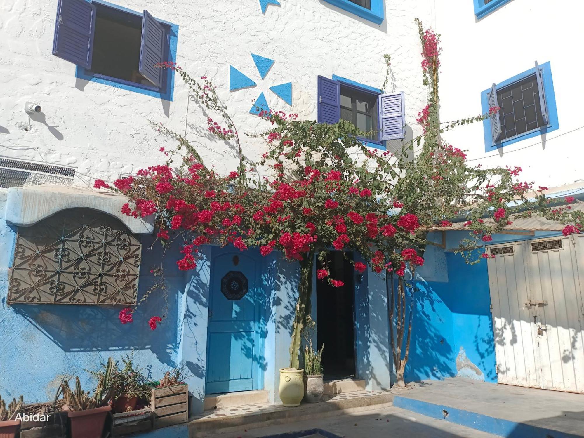Habibi Hostel Taghazout Εξωτερικό φωτογραφία